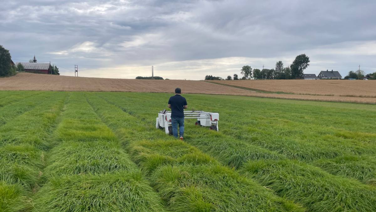 Field robot phenotyping forage grass plots at NMBU
