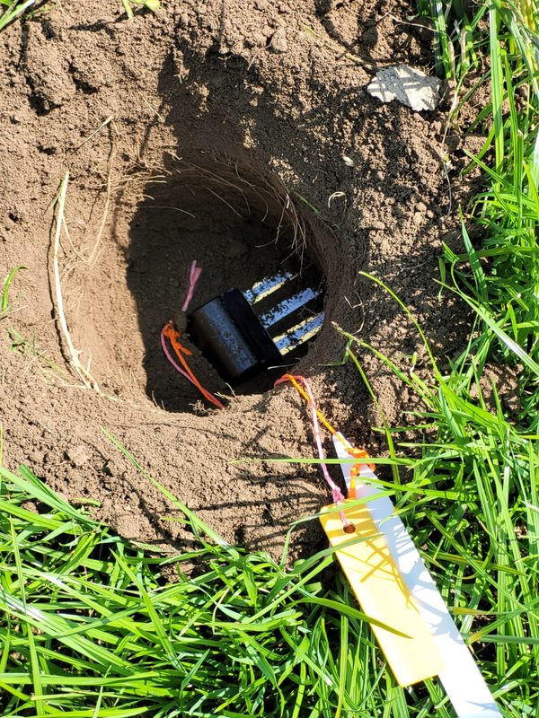 IoT soil sensor deployed in field trial for real-time nitrogen monitoring